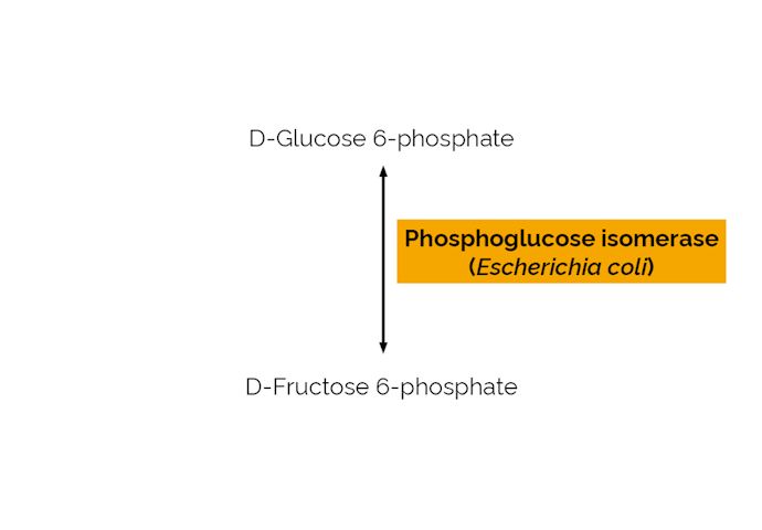 Megazyme_Scheme-E-PGIEC.png