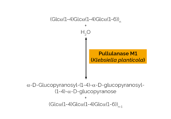 Megazyme_Scheme-E-PULKP.png