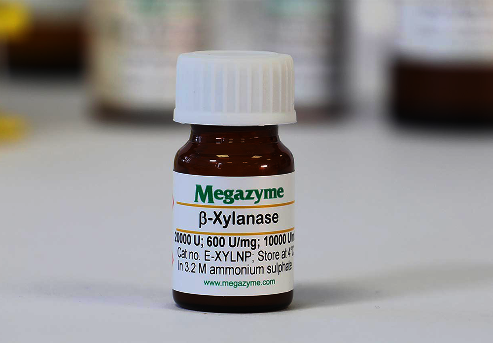 Megazyme_E-XYLNP.png