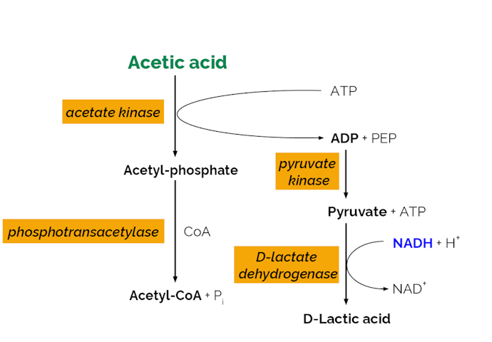 Megazyme_Scheme-K-ACETRM-ProdIm.png