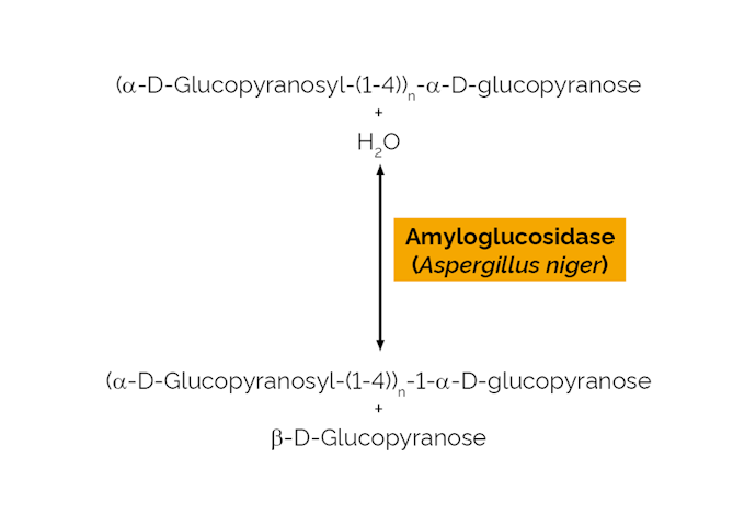 Megazyme_Scheme-E-AMGDF.png