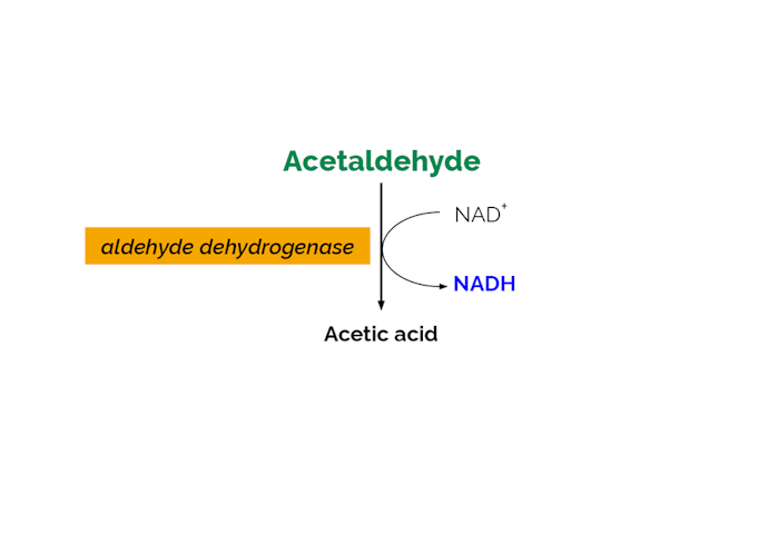 Megazyme_Scheme-K-ACHYD-ProdIm.png