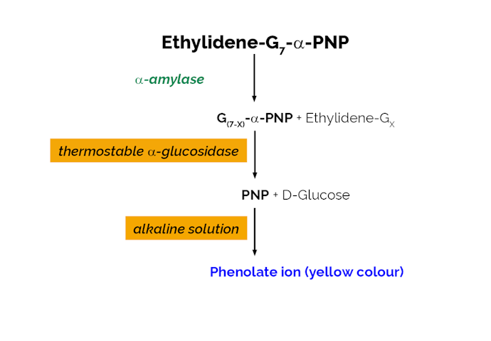 Megazyme_Scheme-K-AMYLSD-ProdIm.png