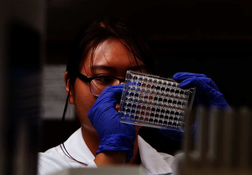 Official_9419M_Training-Mycotoxins_Kit-Photo.png
