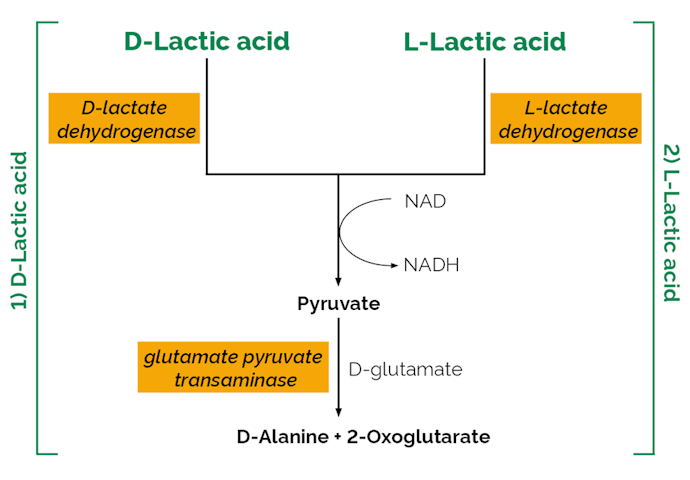 Megazyme_Scheme-K-DLATE-ProdIm.png