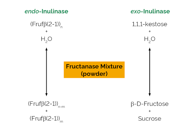Megazyme_Scheme-E-FRMXPD.png