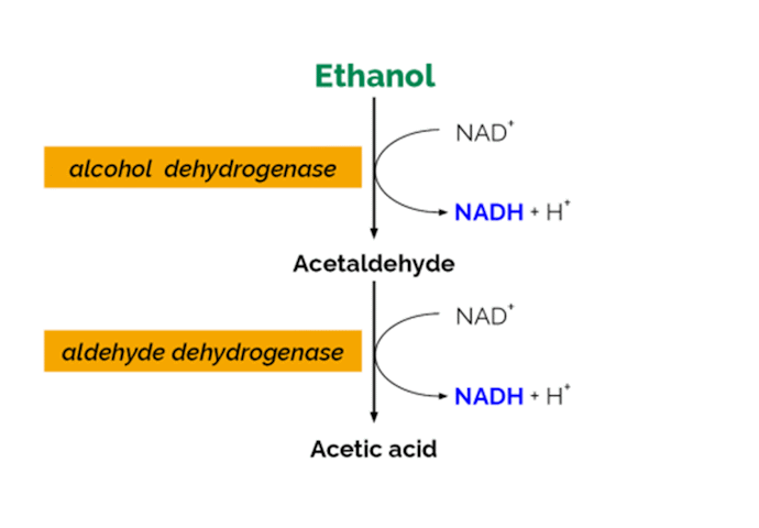 Megazyme_Scheme-K-ETOH-ProdIm.png