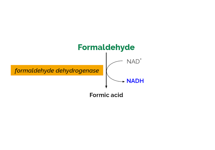 Megazyme_Scheme-K-FRHYD-ProdIm.png