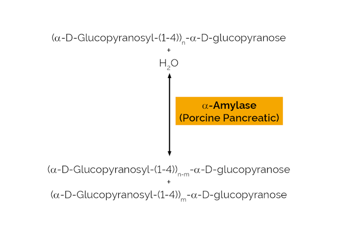 Megazyme_Scheme-E-PANAA.png