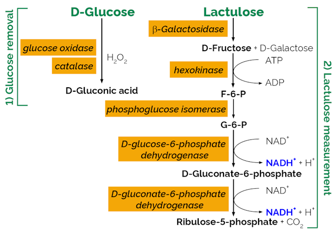 Megazyme_Scheme-K-LACTUL-ProdIm.png