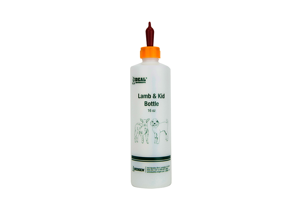 Official_7004_726087070049_Ideal-Lamb-Kid-Bottle_1.png