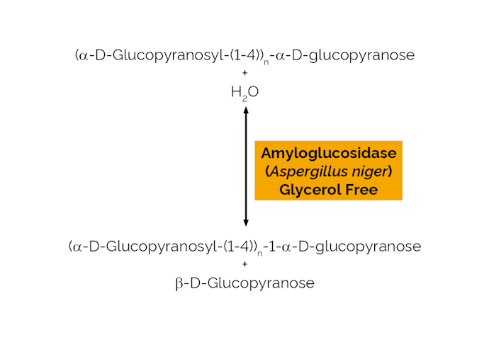 Megazyme_Scheme-E-AMGDFNG.png