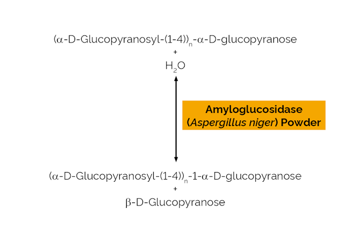 Megazyme_Scheme-E-AMGDFPD.png