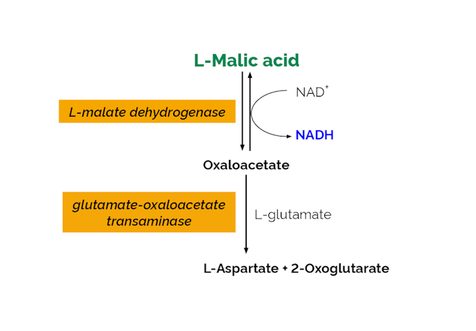 Megazyme_Scheme-K-LMALAF-ProdIm.png