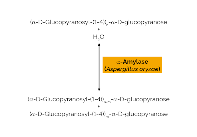 Megazyme_Scheme-E-ANAAM.png