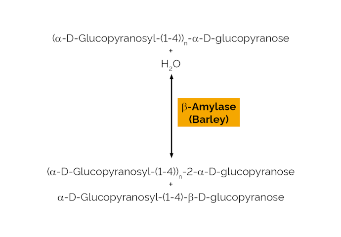 Megazyme_Scheme-E-BARBP.png