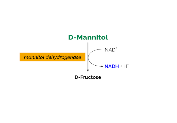Megazyme_Scheme-K-MANOL-ProdIm.png