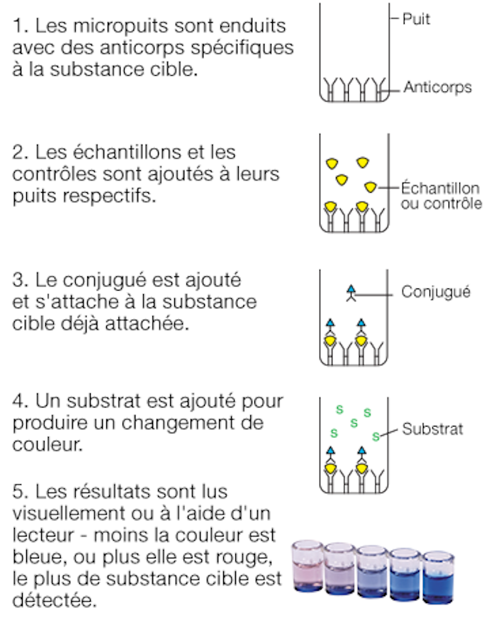 8520_diagram_fr.png