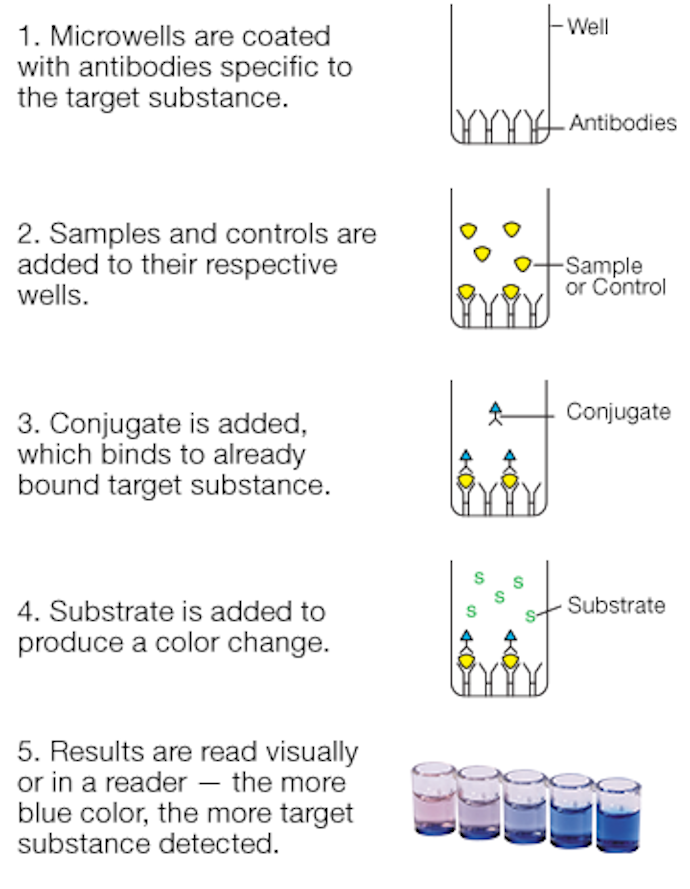 8520_diagram.png