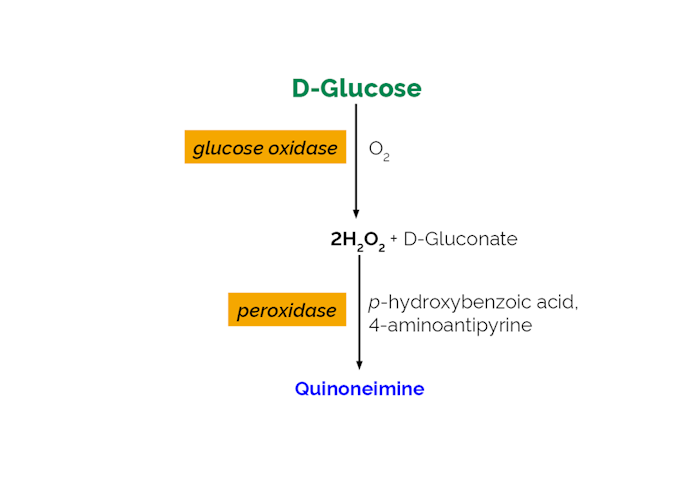 Megazyme_Scheme-K-GLUC-ProdIm.png