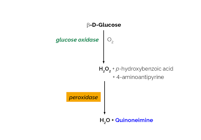 Megazyme_Scheme-K-GLOX-ProdIm.png