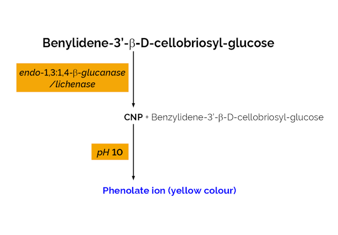 Megazyme_Scheme-K-MBG4-ProdIm.png