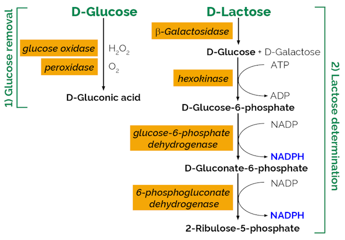 Megazyme_Scheme-K-LOLAC-ProdIm.png