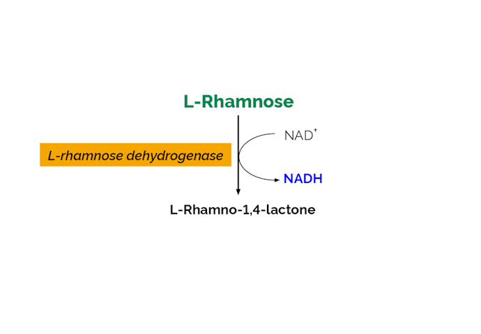 Megazyme_Scheme-K-RHAMNOSE-ProdIm.png