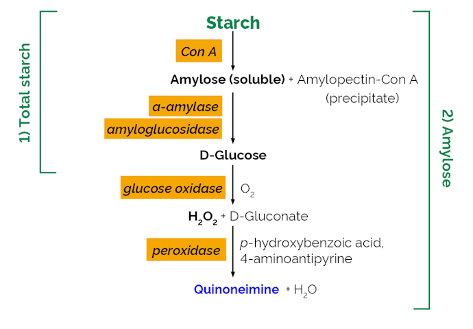 Megazyme_Scheme-K-AMYL-ProdIm.png
