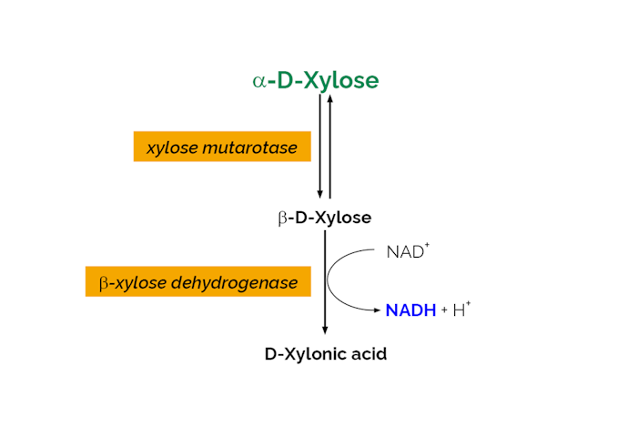 Megazyme_Scheme-K-XYLOSE-ProdIm.png