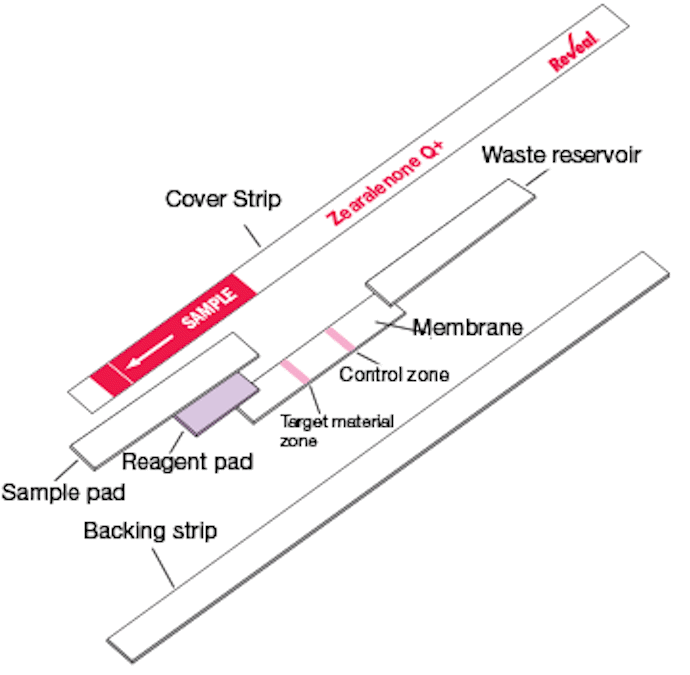 reveal_q-plus_diagram_pt.png