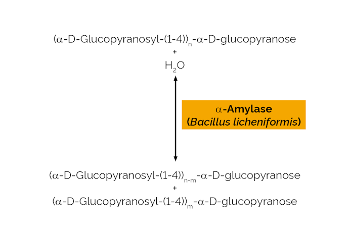 Megazyme_Scheme-E-BLAAM.png