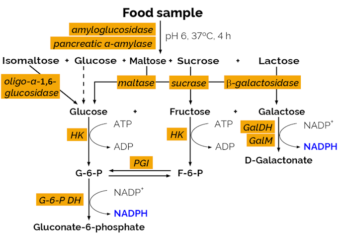 Megazyme_Scheme-K-AVCHO-ProdIm.png