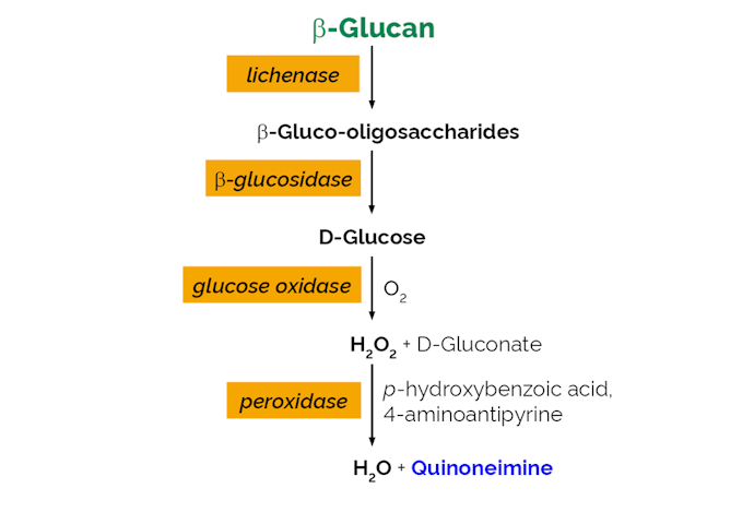 Megazyme_Scheme-K-BGLU-ProdIm.png