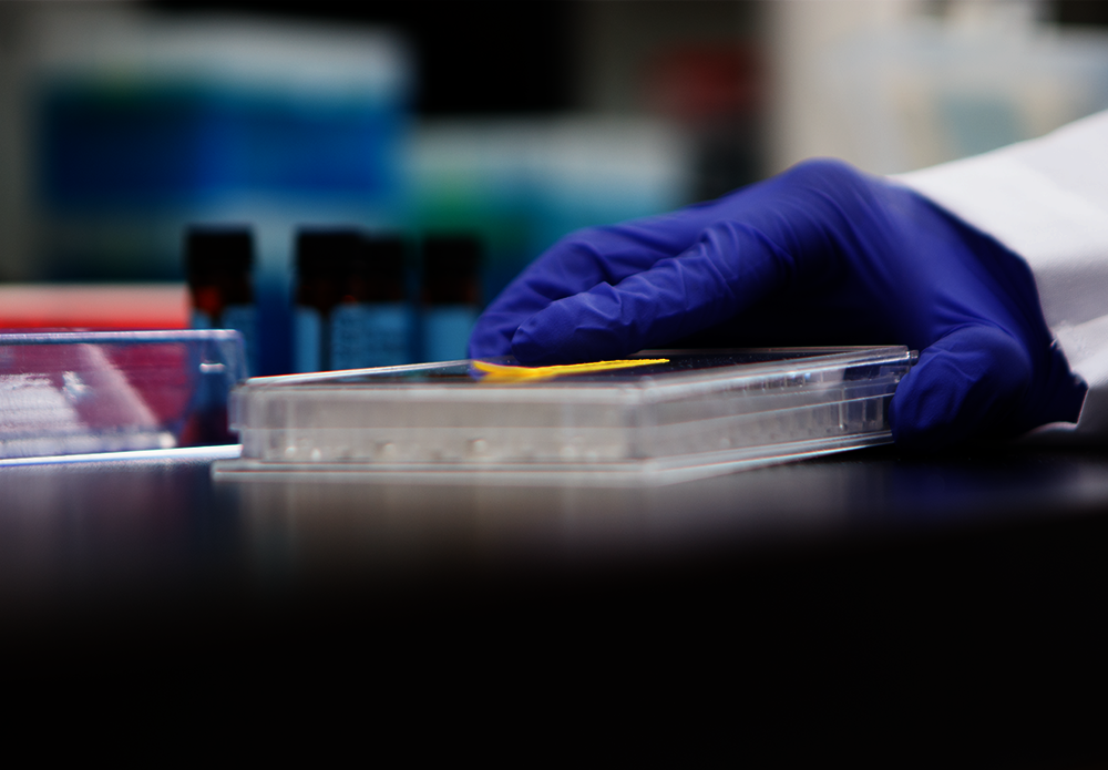 Official_9403CD_Sample-Testing-Cleaners-Disinfectants_Kit-Photo.png