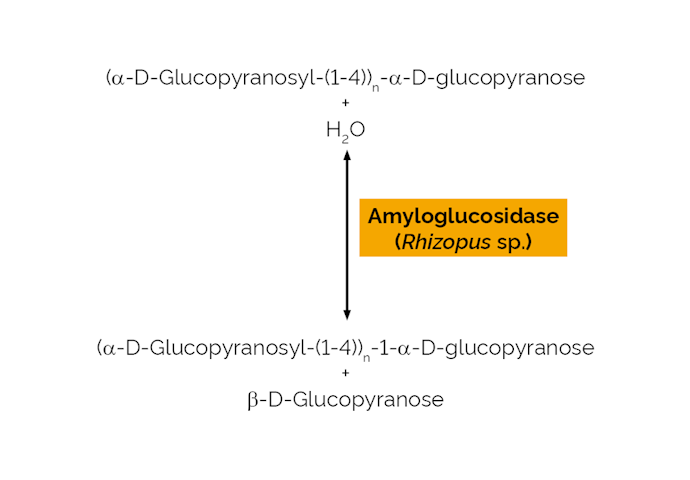 Megazyme_Scheme-E-AMGPU.png