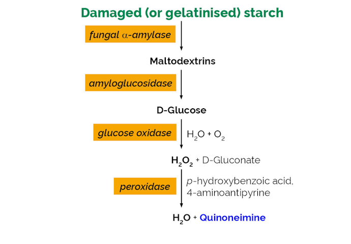 Megazyme_Scheme-K-SDAM-ProdIm.png