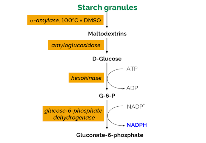 Megazyme_Scheme-K-TSHK-ProdIm.png