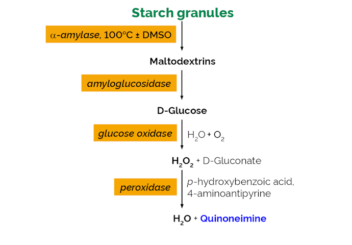 Megazyme_Scheme-K-TSCK-ProdIm.png