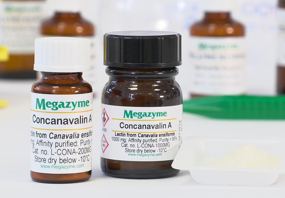 Megazyme_L-CONA.png