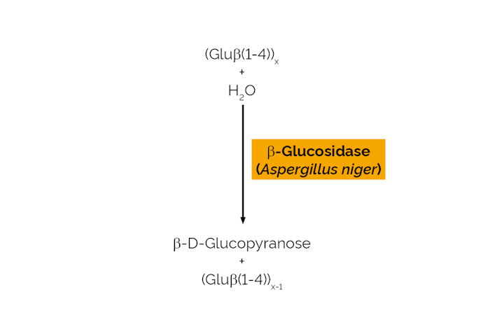 Megazyme_Scheme-E-BGLUC.png