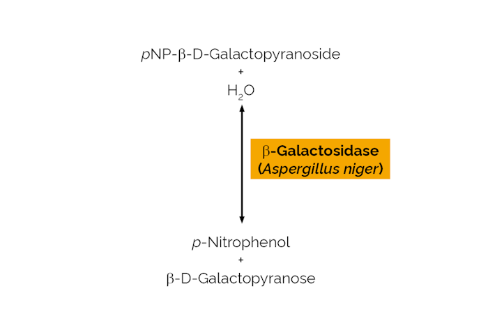 Megazyme_Scheme-E-BGLAN.png