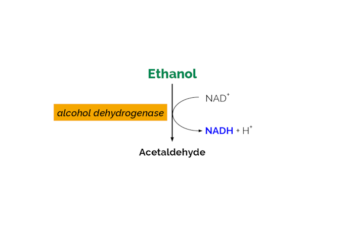 Megazyme_Scheme-K-ETOHLQR-ProdIm.png