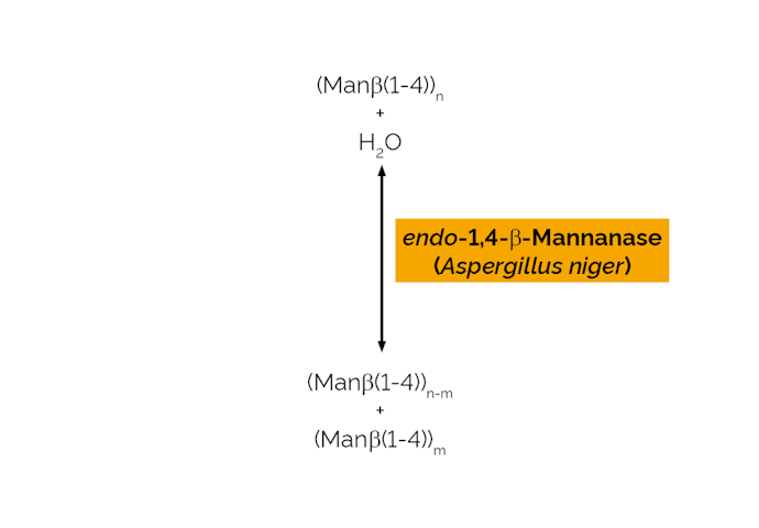 Megazyme_Scheme-E-BMANN.png