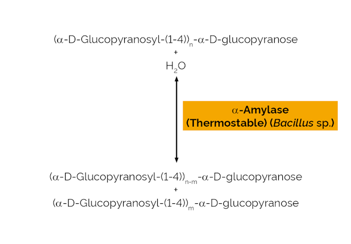 Megazyme_Scheme-E-BSTAA.png