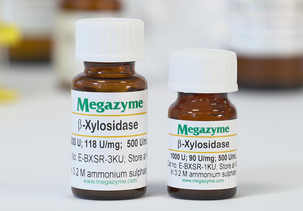 Megazyme_E-BXSR.png