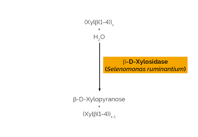 Megazyme_Scheme-E-BXSR.png