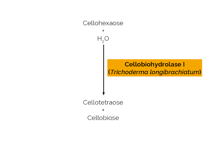 Megazyme_Scheme-E-CBHI.png