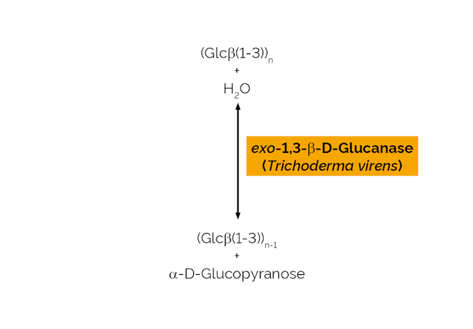 Megazyme_Scheme-E-EXBGTV.png