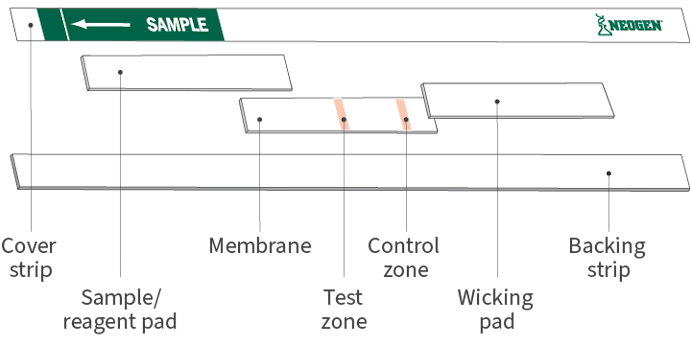 Official_Specifications-Lateral-Flow-Device_Illustration.png